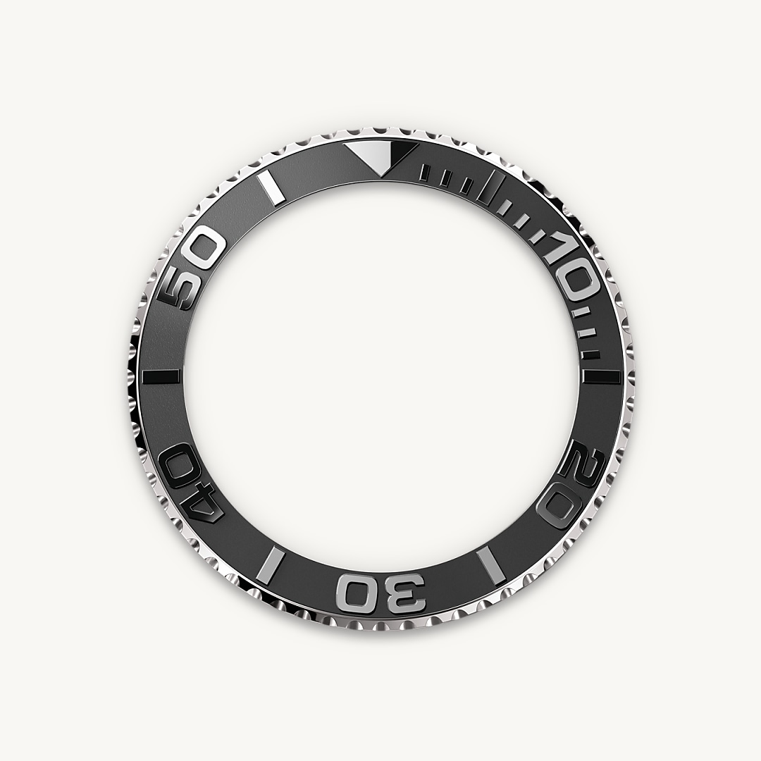 Bidirectional Rotatable Bezel