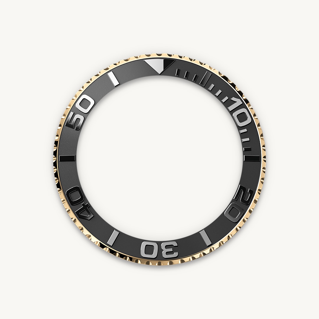 Bidirectional Rotatable Bezel