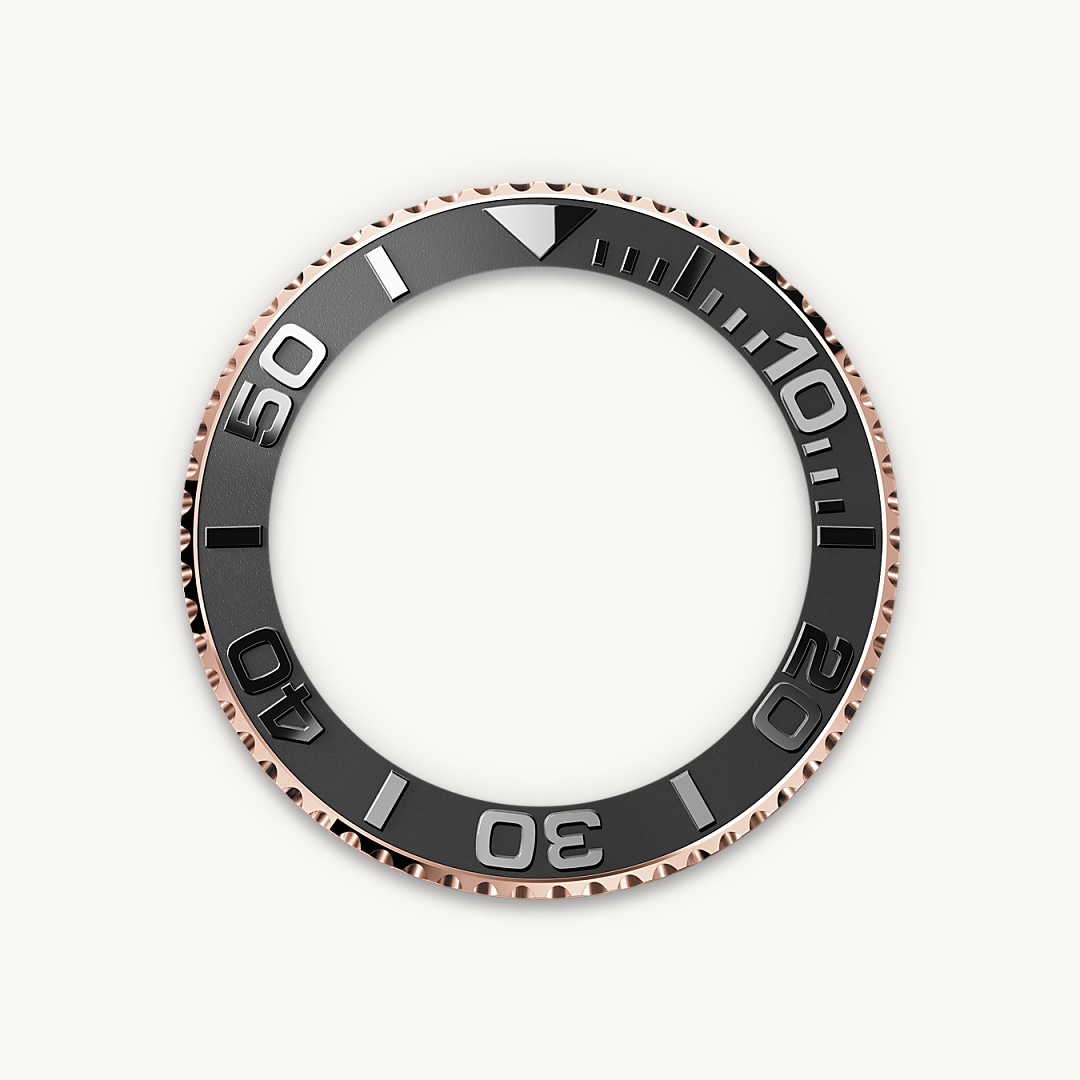 Bidirectional Rotatable Bezel