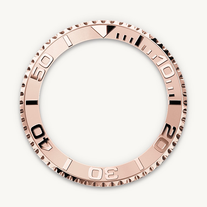 Bidirectional Rotatable Bezel
