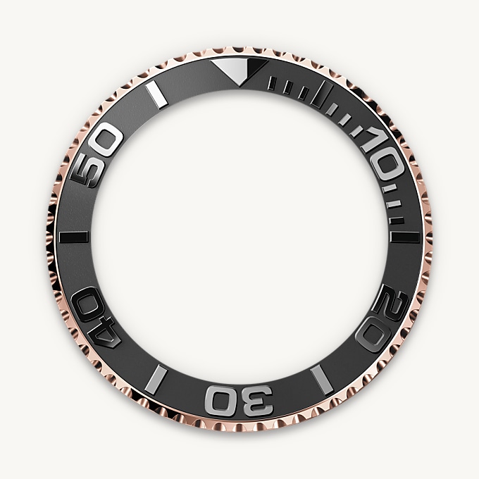 Bidirectional Rotatable Bezel