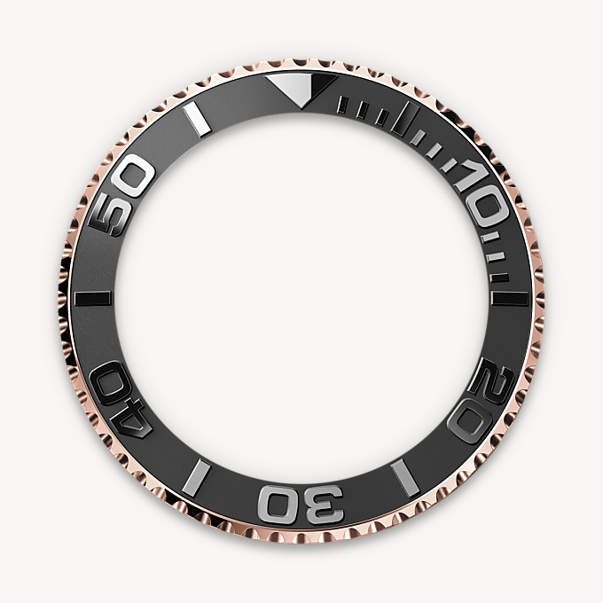 Bidirectional Rotatable Bezel