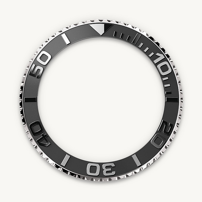 Bidirectional Rotatable Bezel