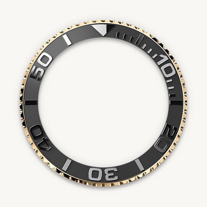 Bidirectional Rotatable Bezel