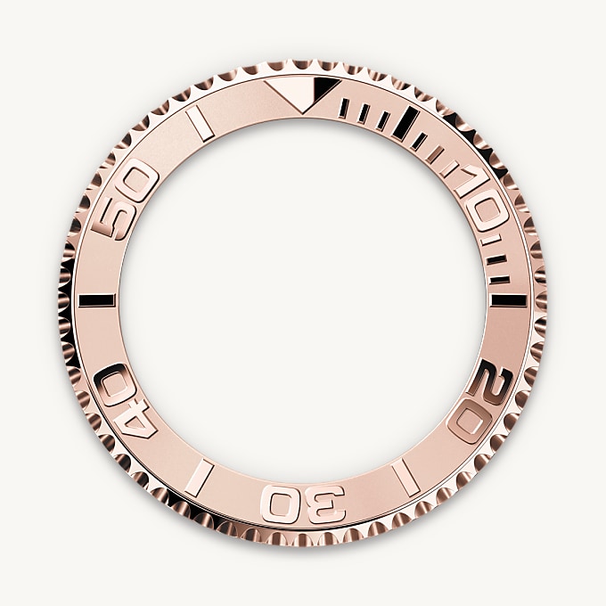 Bidirectional Rotatable Bezel