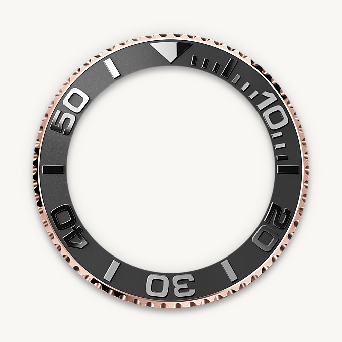 Bidirectional Rotatable Bezel