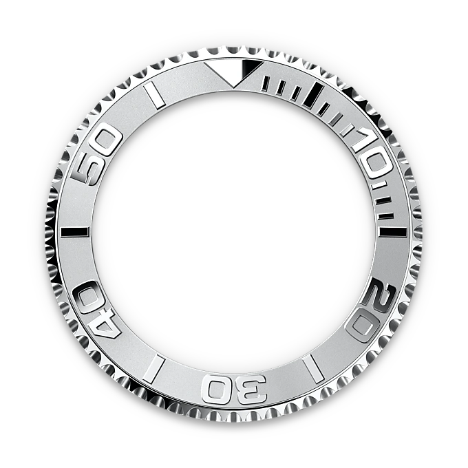 Bidirectional Rotatable Bezel
